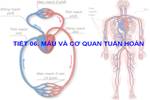 Bài 6. Máu và cơ quan tuần hoàn