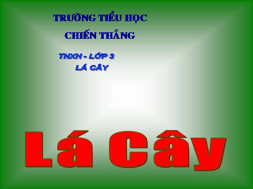 Bài 45. Lá cây