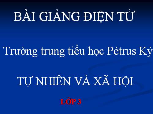 Bài 17-18. Ôn tập: Con người và sức khoẻ