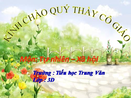 Bài 55. Thú (tiếp theo)