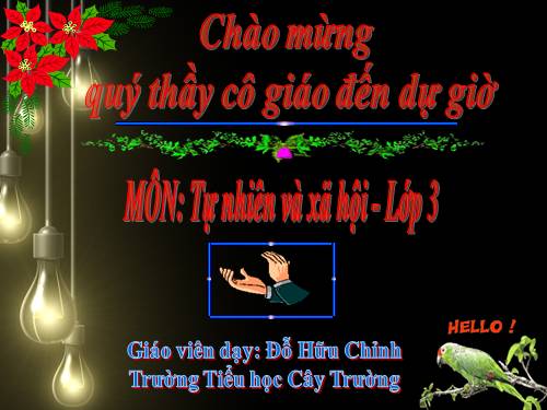 Bài 42. Thân cây (tiếp theo)