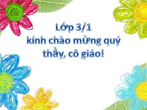 Bài 43. Rễ cây