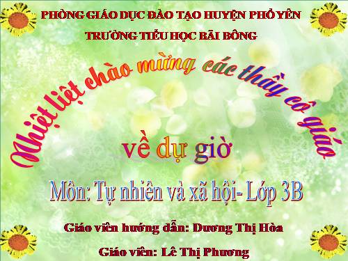 Bài 58. Mặt Trời