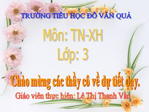 Bài 33. An toàn khi đi xe đạp