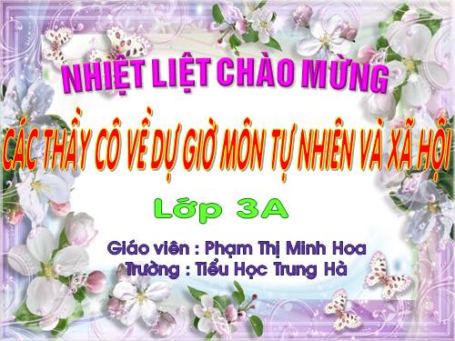 Bài 63. Ngày và đêm trên Trái Đất