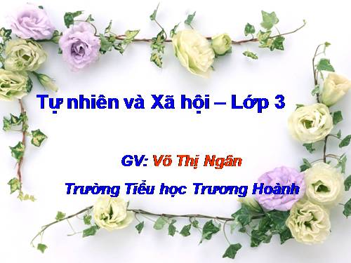 Bài 66. Bề mặt Trái Đất