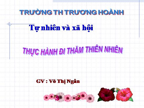 Bài 56 - 57. Thực hành: Đi thăm thiên nhiên