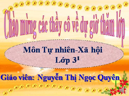 Bài 44. Rễ cây (tiếp theo)
