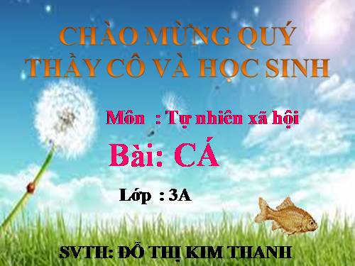 Bài 52. Cá