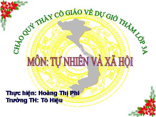 Bài 12. Cơ quan thần kinh