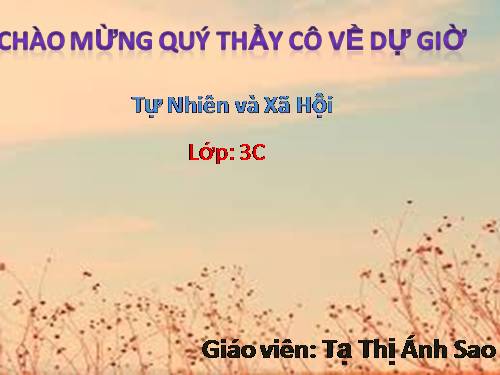 Bài 49. Động vật