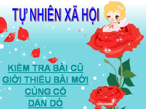 Bài 48. Quả