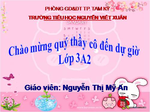 Bài 40. Thực vật