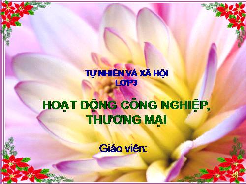 Bài 31. Hoạt động công nghiệp, thương mại