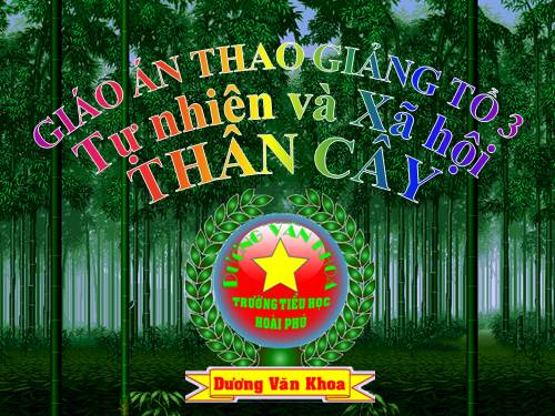 Bài 41. Thân cây