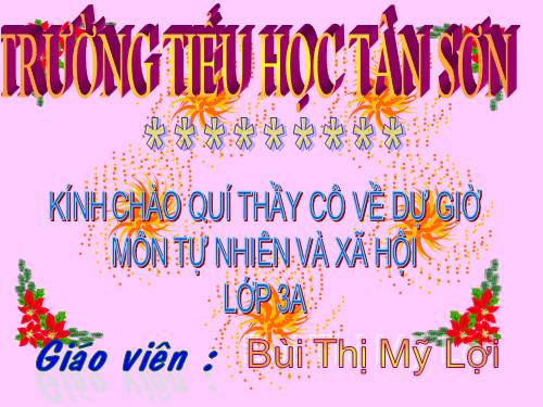 Bài 19. Các thế hệ trong một gia đình