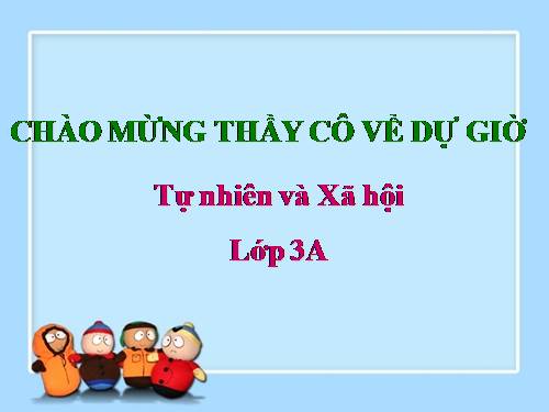 Bài 13 thông tin liên lạc (Dạy theo chương trình VNEN)