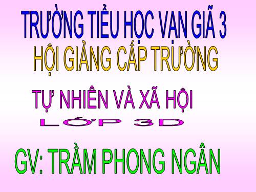 Bài 19. Các thế hệ trong một gia đình