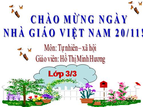 Bài 27-28. Tỉnh (thành phố) nơi bạn đang sống