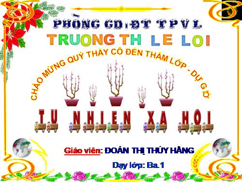 Bài 24. Một số hoạt động ở trường