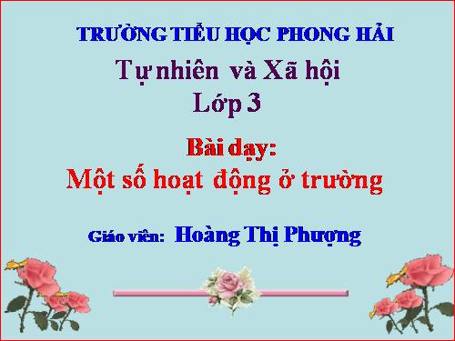 Bài 24. Một số hoạt động ở trường