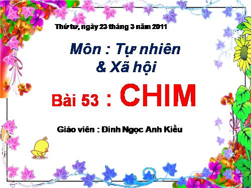 Bài 53. Chim