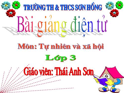 Bài 19. Các thế hệ trong một gia đình