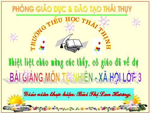 Bài 24. Một số hoạt động ở trường