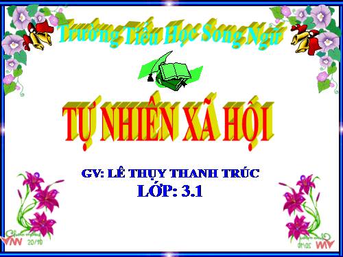 Bài 26. Không chơi các trò chơi nguy hiểm