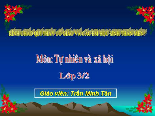 Bài 24. Một số hoạt động ở trường