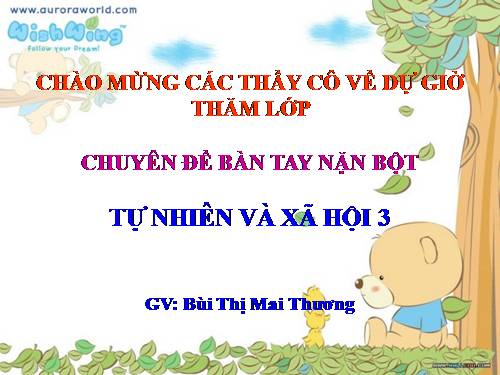 Bài 43. Rễ cây