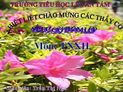 Bài 20. Họ nội, họ ngoại