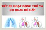 Bài 1. Hoạt động thở và cơ quan hô hấp