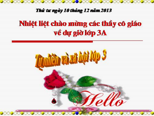 Bài 26. Không chơi các trò chơi nguy hiểm