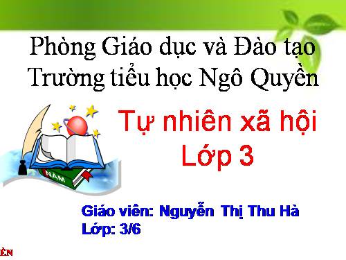 Bài 14. Hoạt động thần kinh (tiếp theo)