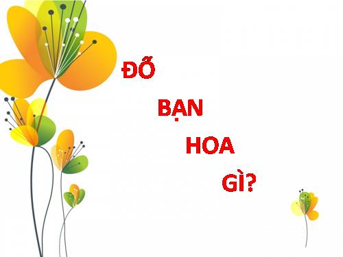 Bài 47. Hoa