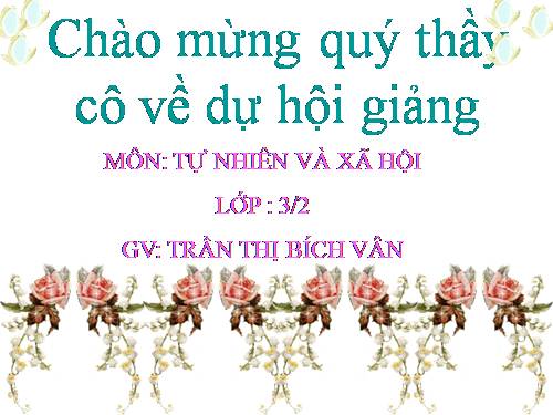 Bài 25. Một số hoạt động ở trường (tiếp theo)