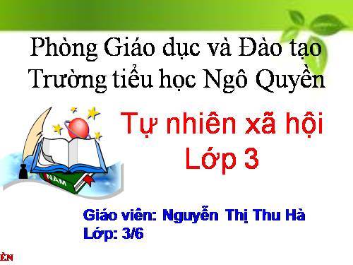 Bài 14. Hoạt động thần kinh (tiếp theo)