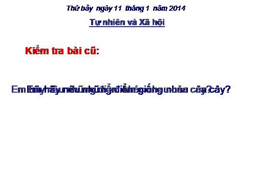 Bài 41. Thân cây