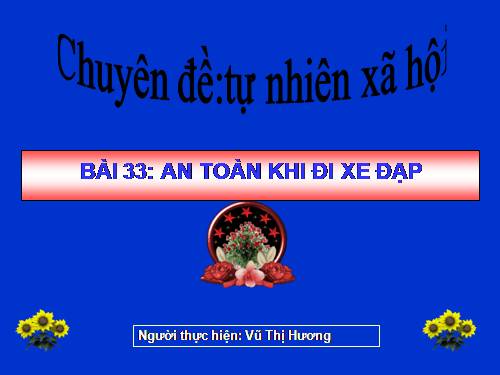 Bài 33. An toàn khi đi xe đạp