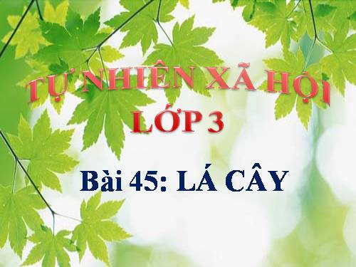 Bài 45. Lá cây