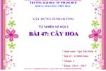 Bài 47. Hoa