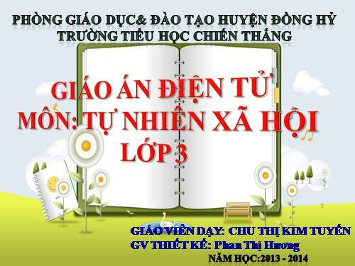 Bài 19. Các thế hệ trong một gia đình