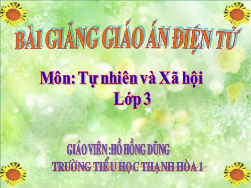 Bài 58. Mặt Trời