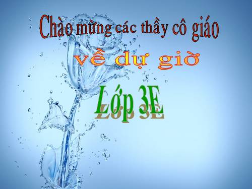 Bài 12. Cơ quan thần kinh