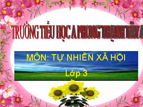 Bài 7. Hoạt động tuần hoàn