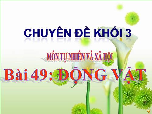 Bài 49. Động vật