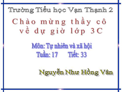 Bài 33. An toàn khi đi xe đạp