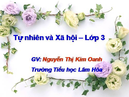 Bài 66. Bề mặt Trái Đất