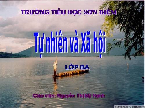 Bài 67. Bề mặt lục địa